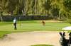 Don Carlos Beach & Golf Resort 